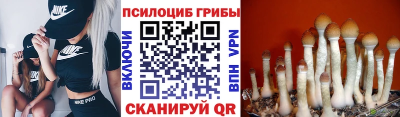 Псилоцибиновые грибы Magic Shrooms  Харабали 
