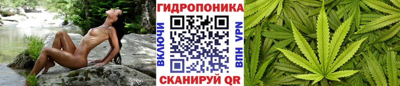 даркнет сайт  Харабали  Каннабис планчик 